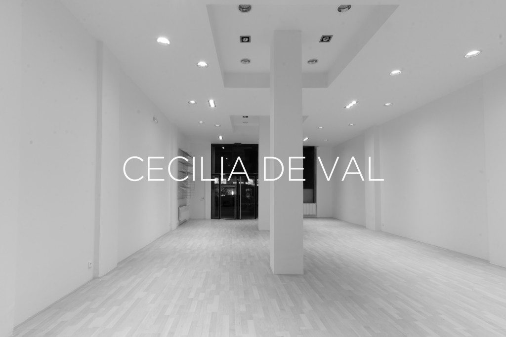 zaragozala_exposicion_monte_perdido_cecilia_de_val_galeria_carolina_rojo