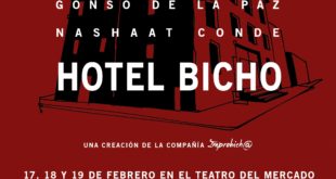 hotel bicho teatro del mercado