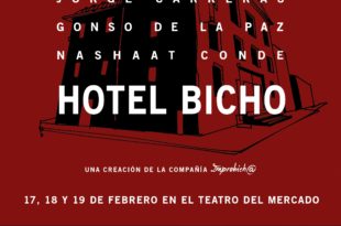 hotel bicho teatro del mercado