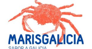 marisgalicia zaragoza