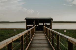 laguna gallocanta