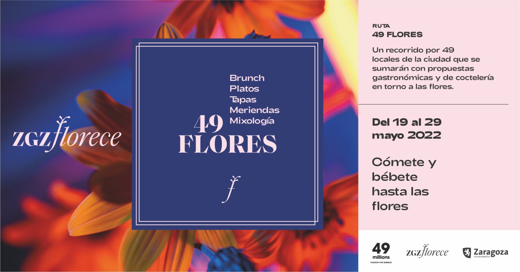 49 flores zgz florece