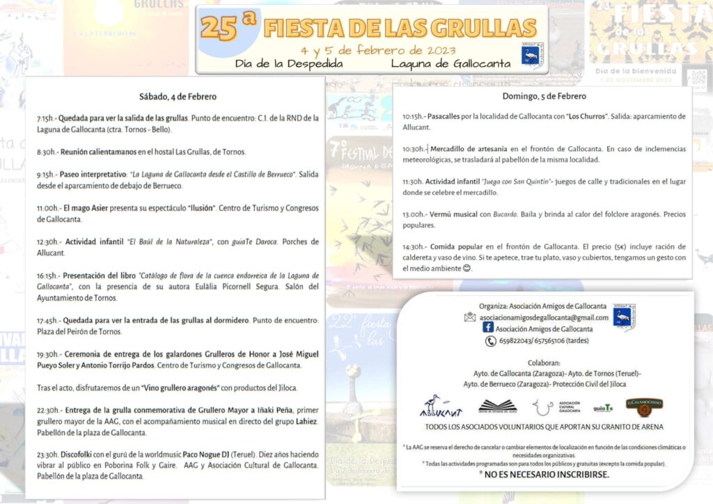  Fiesta De Las Grullas En La Laguna De Gallocanta Zaragozala   Qué Hacer En Zaragoza