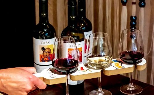care wine tour zaragoza