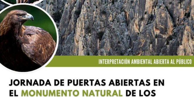  Jornada De Interpretación Ambiental En Los Órganos De Montoro Zaragozala   Qué Hacer En Zaragoza