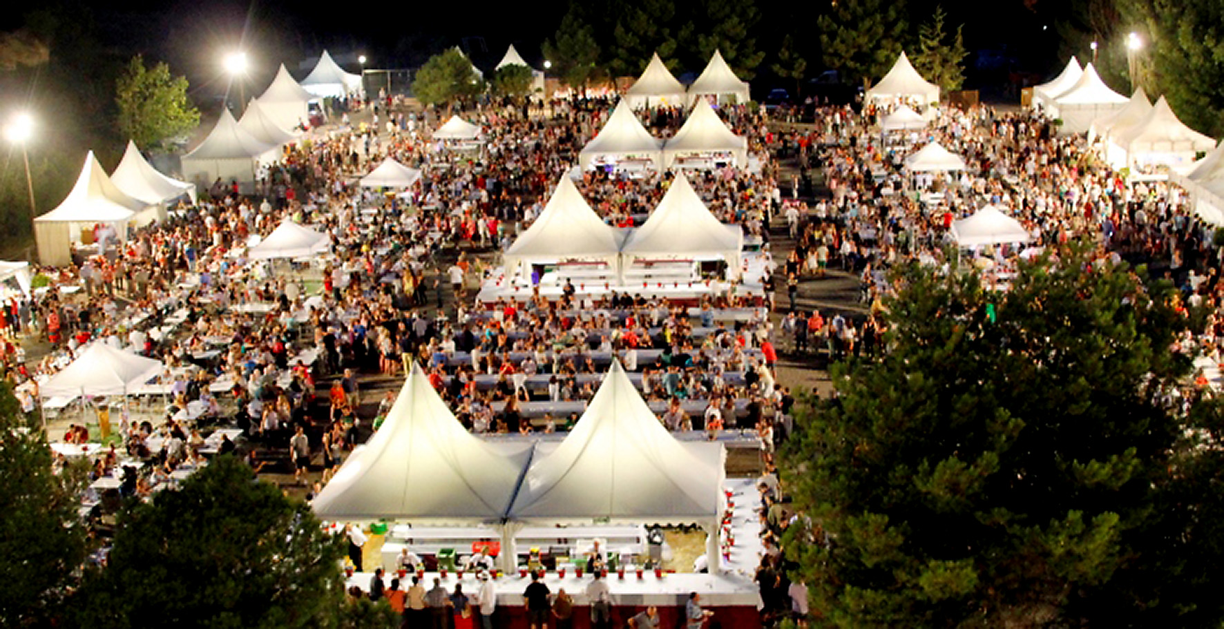 festival vino somontano