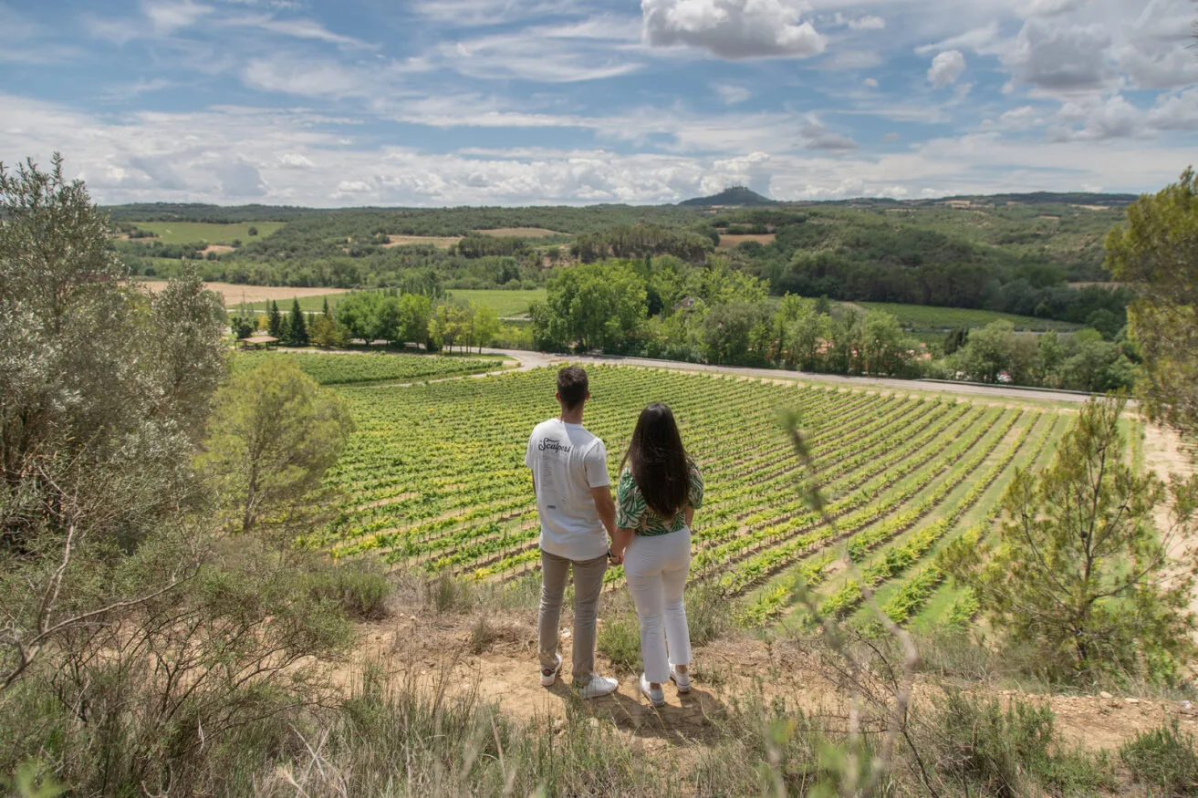 Trekking Viñas De Vida Excursiones a Pie Entre Viñedos Zaragozala Qué Hacer En Zaragoza
