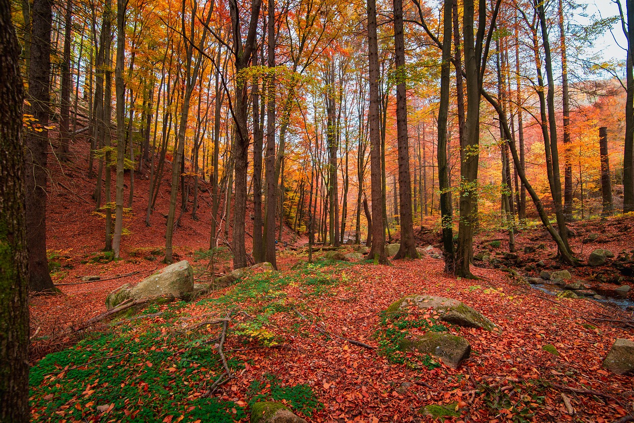 Cinco Pueblos En La Provincia De Zaragoza Para Descubrir Este Otoño Zaragozala Qué Hacer En Zaragoza