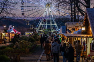 navidad en pau desde zaragoza