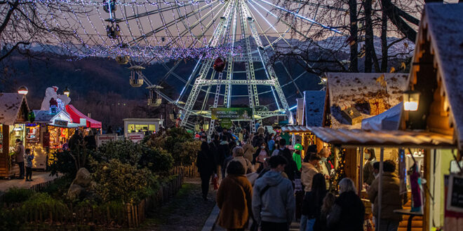 navidad en pau desde zaragoza