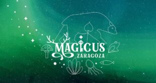 magicus zaragoza las tribus del parque