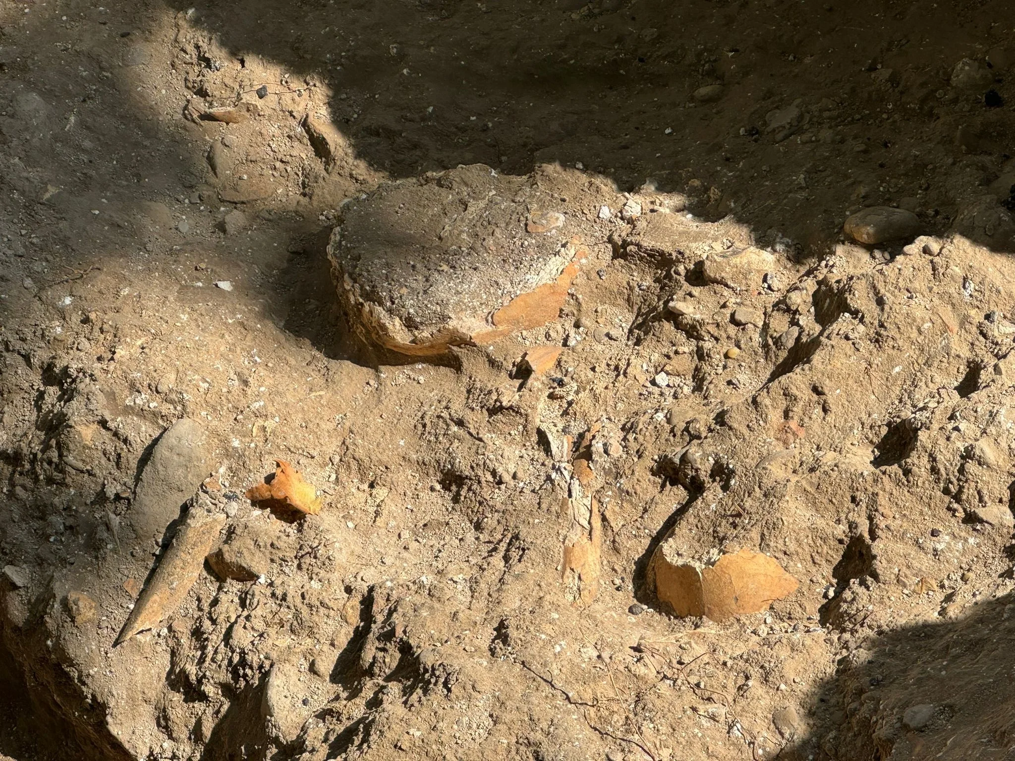  Aparecen Restos Del Antiguo Cementerio Musulmán En Los Sondeos En Plaza San Miguel Zaragozala   Qué Hacer En Zaragoza