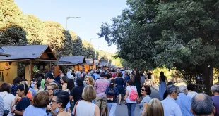 mercado de las flores en zaragoza florece 2024