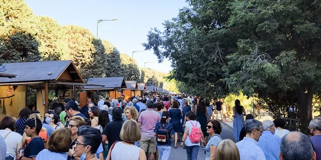 mercado de las flores en zaragoza florece 2024