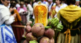 ofrenda de frutos zaragoza