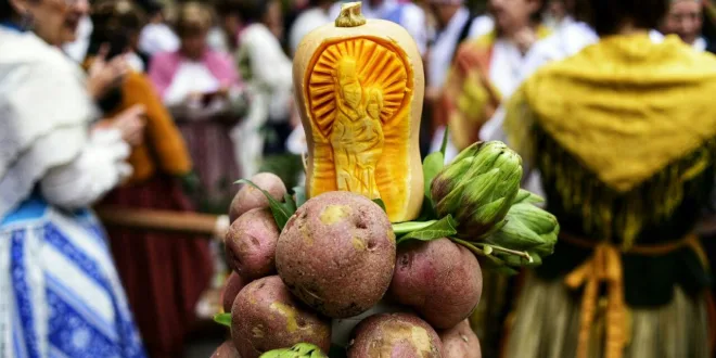 ofrenda de frutos zaragoza