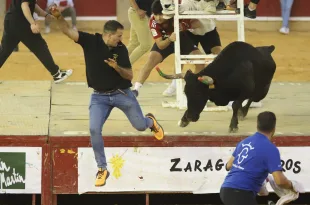 Vaquillas fiestas del pilar