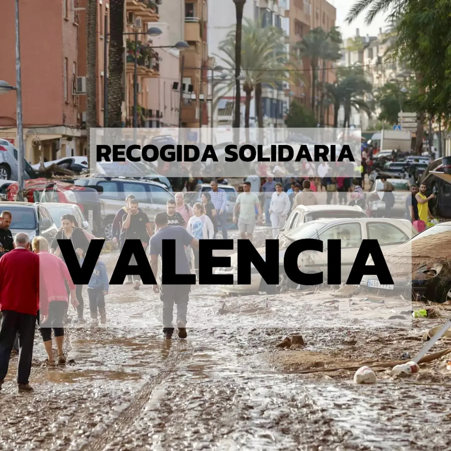 Campaña De Ayuda Hermandad Del Refugio Zaragoza El Ayuntamiento De Zaragoza Y El Refugio Lanzan Una Campaña De Recogida De Productos De Primera Necesidad Zaragozala Qué Hacer En Zaragoza