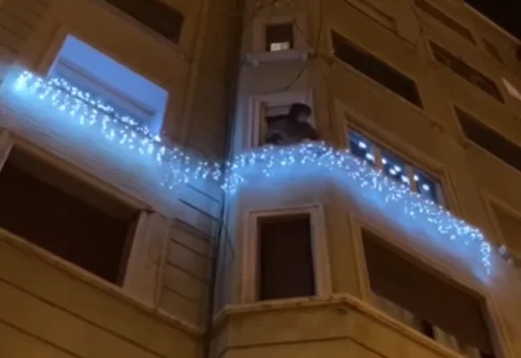 Navidad Paseo Maria Agustin Zaragoza Zaragoza   Qué Hacer En Zaragoza   Página 130 Zaragozala   Qué Hacer En Zaragoza
