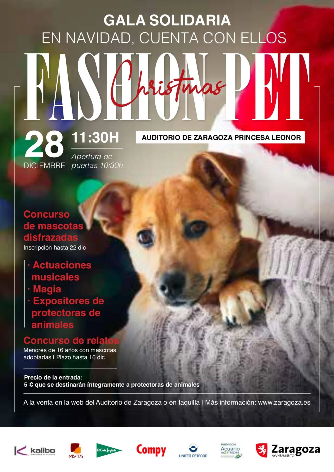 Fashion Pet Christmas Zaragoza Primer Fashion Pet Christmas En Zaragoza Zaragozala Qué Hacer En Zaragoza