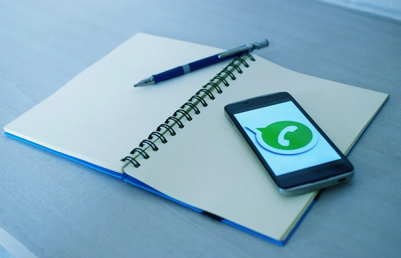 Utilizar Un Número Virtual Para Whatsapp Solución Práctica Y Segura Zaragozala Qué Hacer En Zaragoza