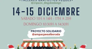 mercado de las luces diciembre navidad