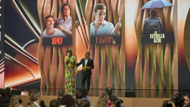 Premios feroz 2025