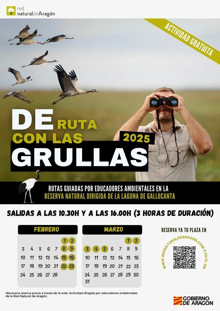 de ruta con las grullas gallocanta