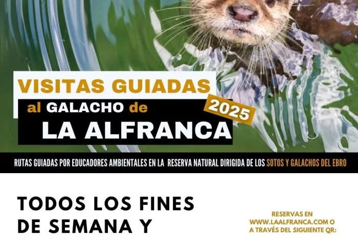 La Alfranca La Alfranca Inaugura Sus Visitas Guiadas a Los Galachos Del Ebro Zaragozala Qué Hacer En Zaragoza
