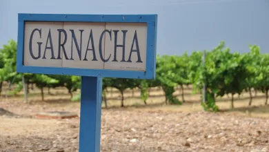 garnacha cariñena
