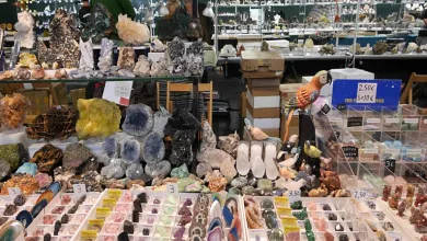 Feria Minerales Zaragoza Zaragoza   Qué Hacer En Zaragoza   Página 98 Zaragozala   Qué Hacer En Zaragoza