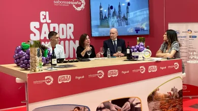  Zaragoza   Qué Hacer En Zaragoza   Página 82 Zaragozala   Qué Hacer En Zaragoza