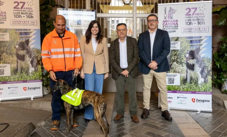 Tercera Edición De La Andada Canina Y Familiar De Zaragoza Zaragozala Qué Hacer En Zaragoza
