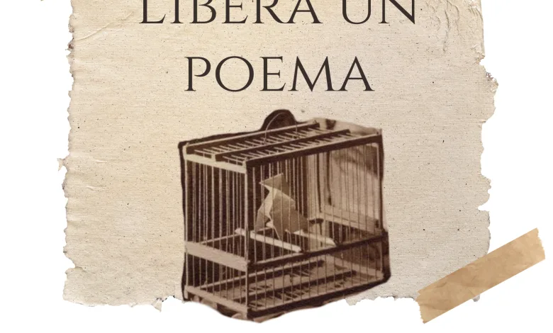 Huesca Celebra El Día De La Poesía Con Artecuidados Zaragozala Qué Hacer En Zaragoza
