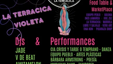 la terracica violeta