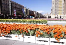 Mercado De Tulipanes De Zaragoza Zaragoza   Qué Hacer En Zaragoza Zaragozala   Qué Hacer En Zaragoza