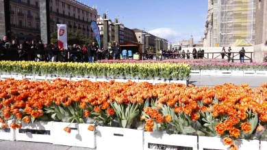 Mercado De Tulipanes De Zaragoza Zaragoza   Qué Hacer En Zaragoza Zaragozala   Qué Hacer En Zaragoza