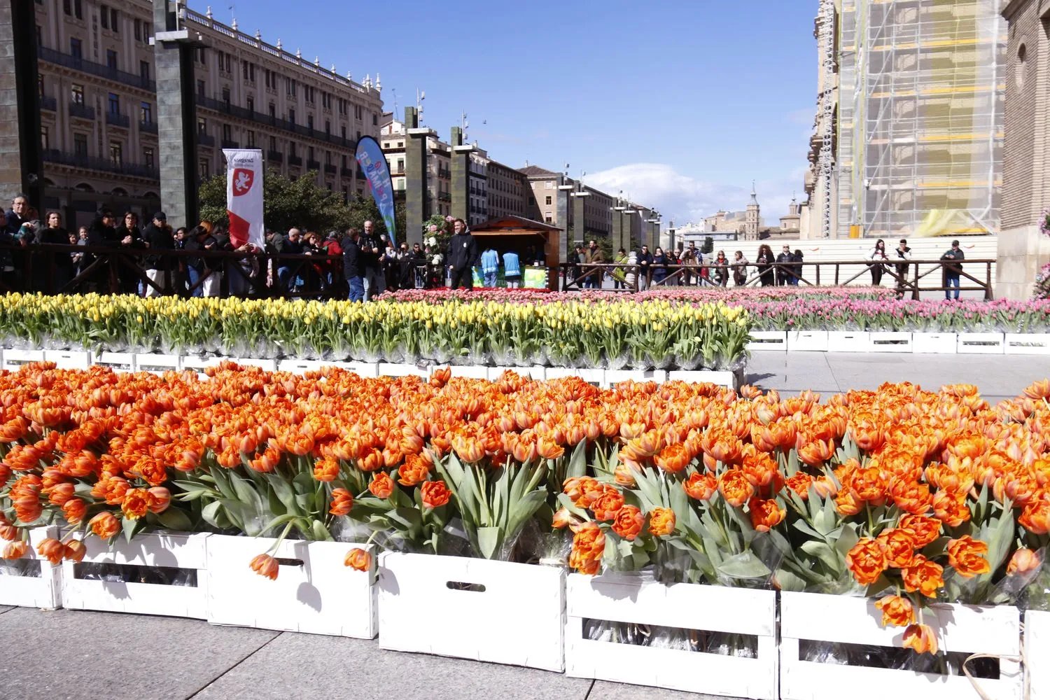 Mercado De Tulipanes De Zaragoza