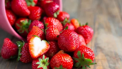 fresas de huelva