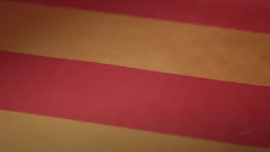 haz que aragón se vea san jorge 2025