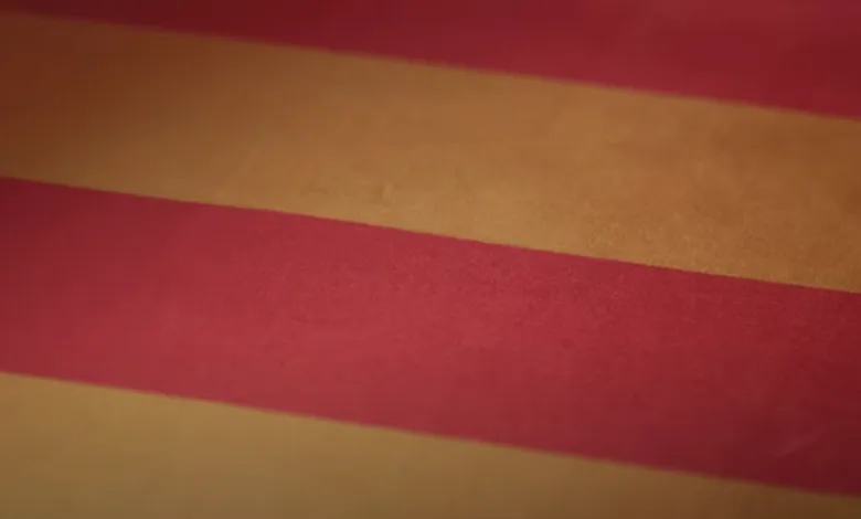 Haz Que Aragón Se Vea San Jorge 2025 haz Que Aragón Se Vea Lema Vídeo Del Día De San Jorge 2025 Zaragozala Qué Hacer En Zaragoza