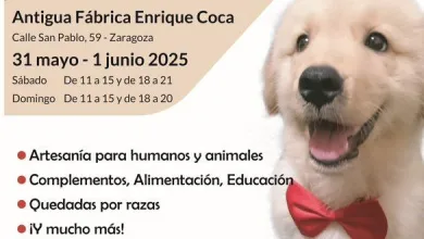  Pet Market Mercadillo De Zaragoza Dedicado a Las Mascotas Zaragozala   Qué Hacer En Zaragoza