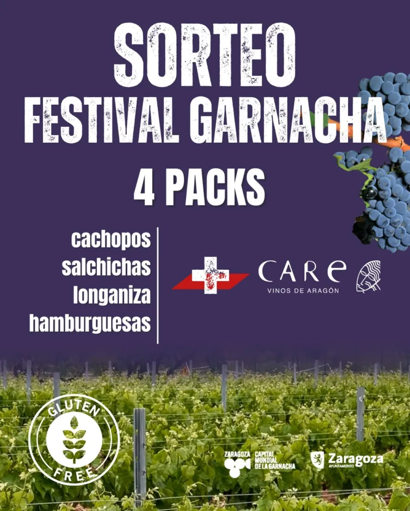  Qué Hacer En El Festival De La Garnacha Este Fin De Semana Zaragozala   Qué Hacer En Zaragoza