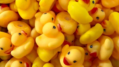 Estropatada Zaragoza Miles De Patos Solidarios Surcarán El Ebro Este 14 De Junio Zaragozala   Qué Hacer En Zaragoza