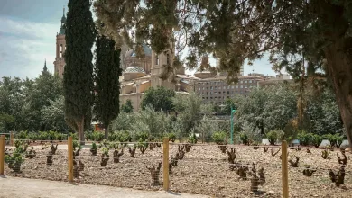 Festival De La Garnacha Foto Zaragozalacom Programa De La Feria De La Garnacha 2026 Para El Viernes 5 De Junio Conciertos Catas Y Horarios Zaragozala   Qué Hacer En Zaragoza
