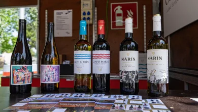 Festival De La Garnacha Zaragoza Festival De La Garnacha Qué Hacer Hoy Domingo Zaragozala   Qué Hacer En Zaragoza