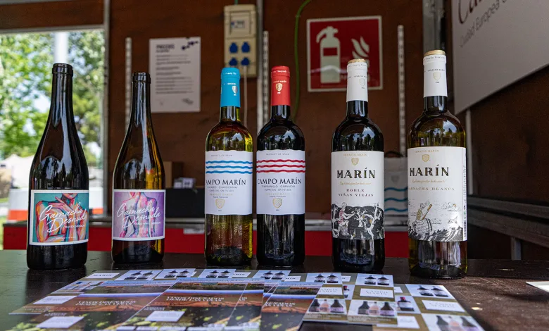 Festival De La Garnacha Zaragoza Festival De La Garnacha Qué Hacer Hoy Domingo Zaragozala Qué Hacer En Zaragoza