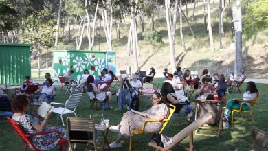  Así Se Vivió La Reading Party En Zaragoza Libros Charla Y Desconexión En El Parque Grande Zaragozala   Qué Hacer En Zaragoza