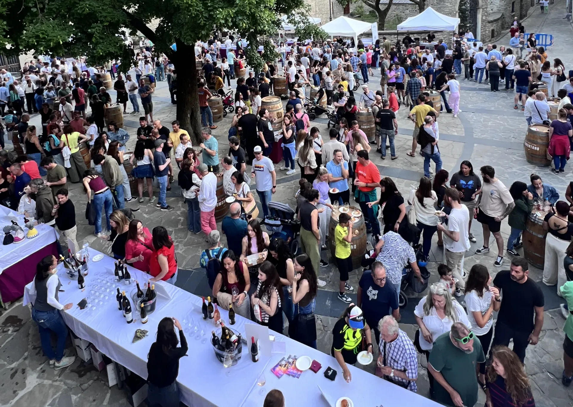 Somontano en Ruta en Zaragoza: vinos, tapas y música