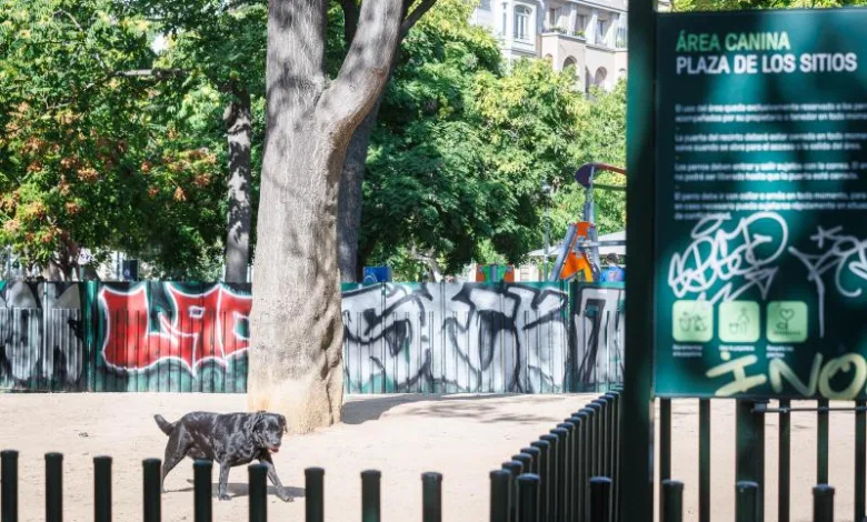 Zaragoza Limitará La Suelta De Perros En Zonas Verdes Con áreas Caninas Zaragozala Qué Hacer En Zaragoza